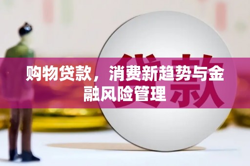 芙蓉购物贷款，消费新趋势与金融风险管理