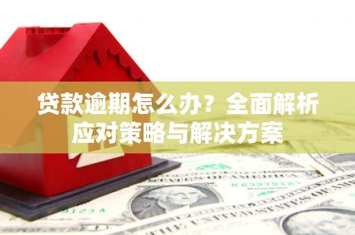芙蓉贷款逾期怎么办？全面解析应对策略与解决方案