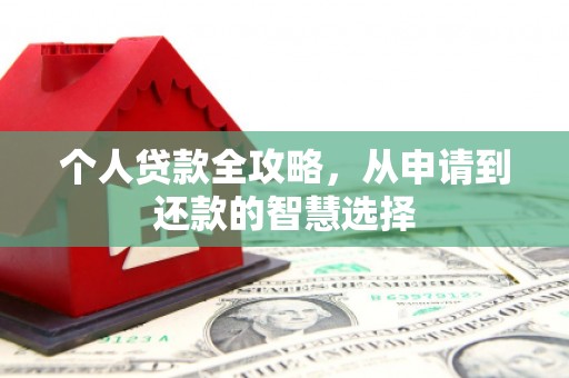 芙蓉个人贷款全攻略，从申请到还款的智慧选择