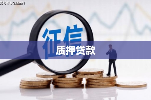 芙蓉质押贷款