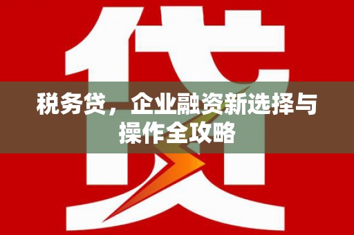 芙蓉税务贷，企业融资新选择与操作全攻略