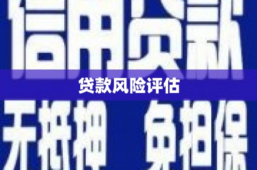 芙蓉贷款风险评估