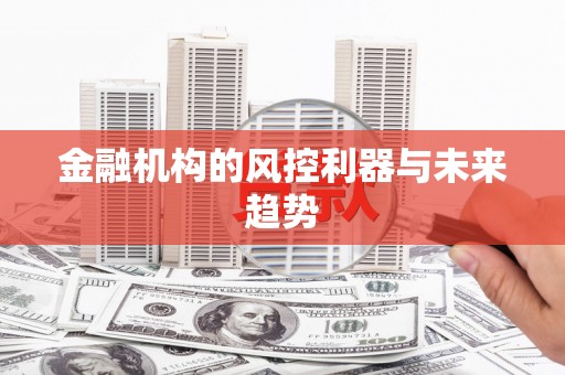 芙蓉金融机构的风控利器与未来趋势