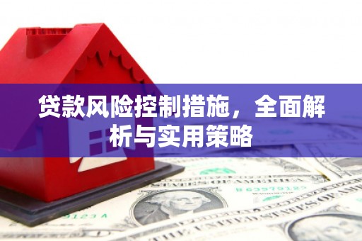 芙蓉贷款风险控制措施，全面解析与实用策略