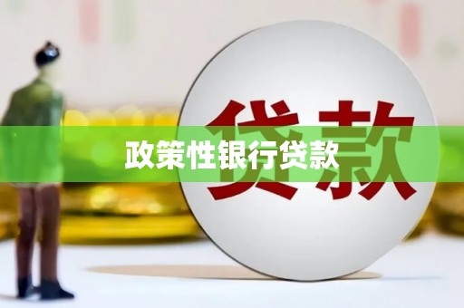 芙蓉政策性银行贷款