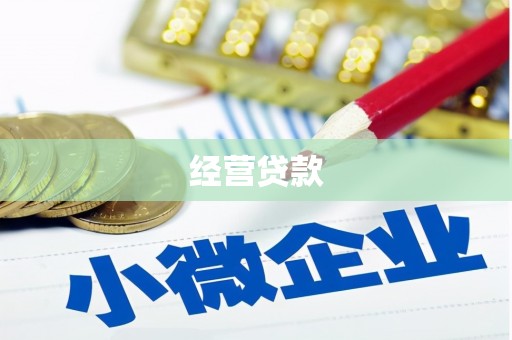 芙蓉经营贷款