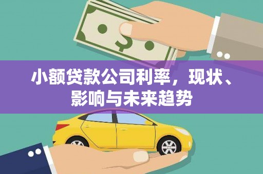 芙蓉小额贷款公司利率，现状、影响与未来趋势