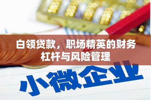 芙蓉白领贷款，职场精英的财务杠杆与风险管理