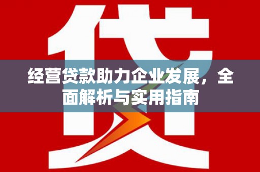 芙蓉经营贷款助力企业发展，全面解析与实用指南