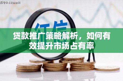 芙蓉贷款推广策略解析，如何有效提升市场占有率