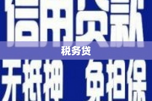 芙蓉税务贷