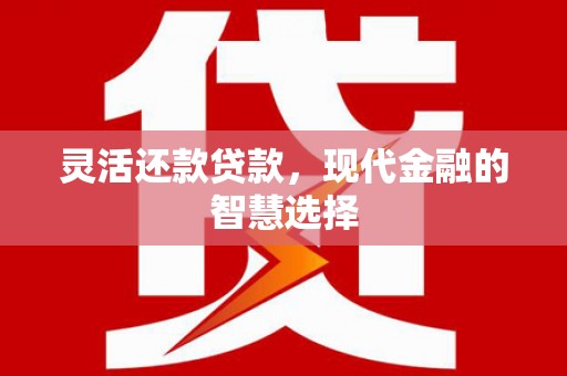 芙蓉灵活还款贷款，现代金融的智慧选择