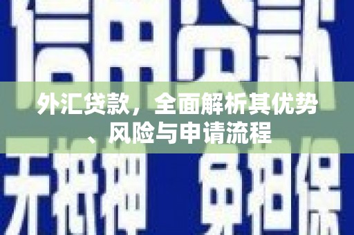 芙蓉外汇贷款，全面解析其优势、风险与申请流程