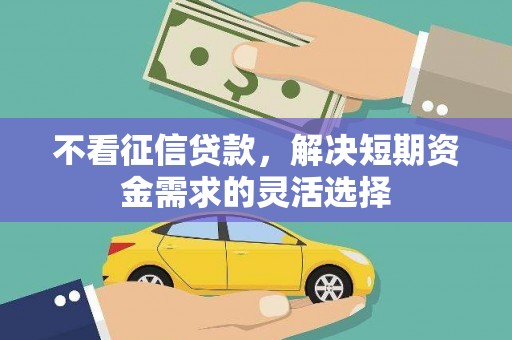 芙蓉不看征信贷款，解决短期资金需求的灵活选择