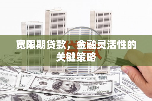 芙蓉宽限期贷款，金融灵活性的关键策略