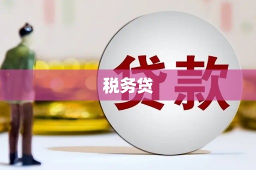 芙蓉税务贷