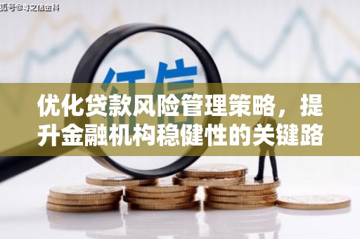 芙蓉优化贷款风险管理策略，提升金融机构稳健性的关键路径