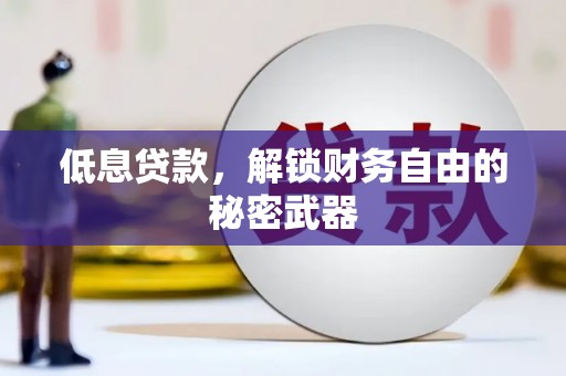 芙蓉低息贷款，解锁财务自由的秘密武器