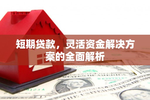 芙蓉短期贷款，灵活资金解决方案的全面解析