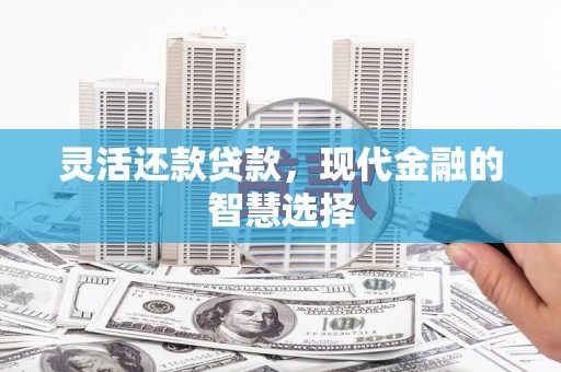 芙蓉灵活还款贷款，现代金融的智慧选择