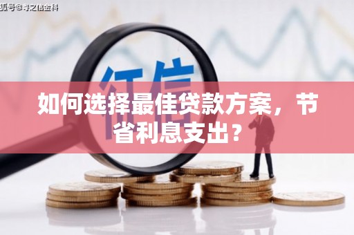 芙蓉如何选择最佳贷款方案，节省利息支出？
