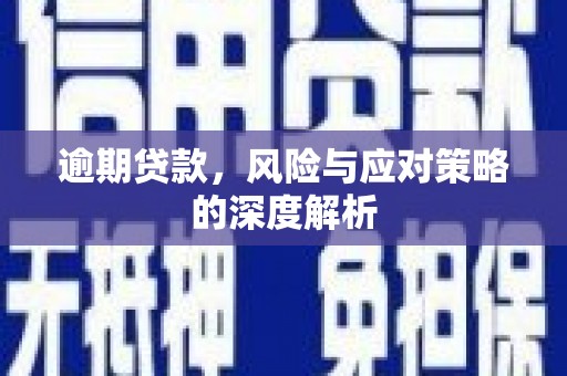 芙蓉逾期贷款，风险与应对策略的深度解析
