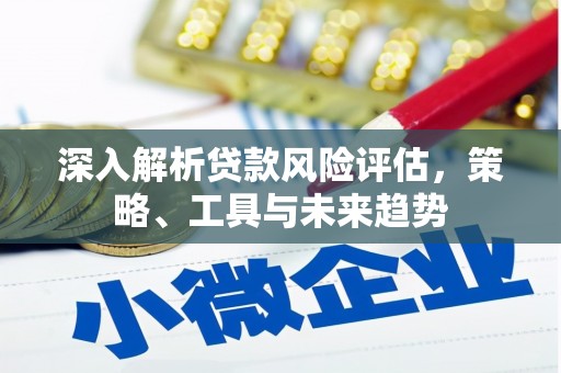 芙蓉深入解析贷款风险评估，策略、工具与未来趋势