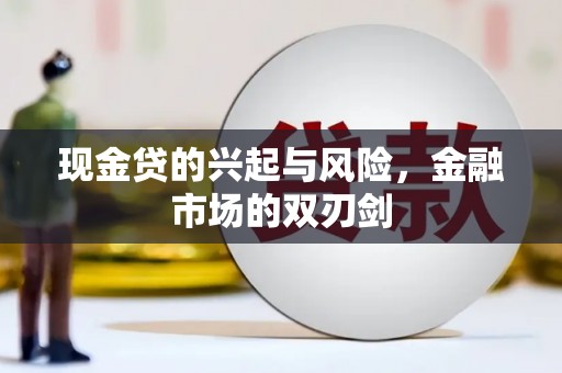 芙蓉现金贷的兴起与风险，金融市场的双刃剑