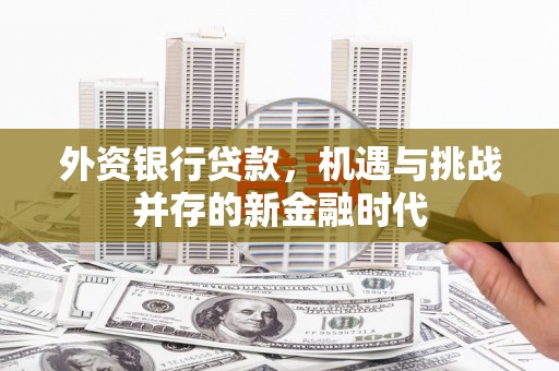 芙蓉外资银行贷款，机遇与挑战并存的新金融时代