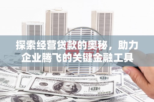 芙蓉探索经营贷款的奥秘，助力企业腾飞的关键金融工具