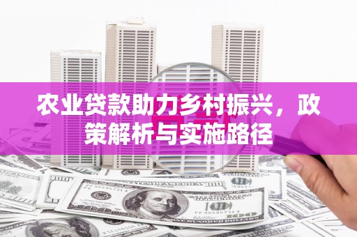 芙蓉农业贷款助力乡村振兴，政策解析与实施路径