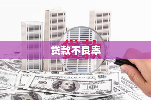 芙蓉贷款不良率