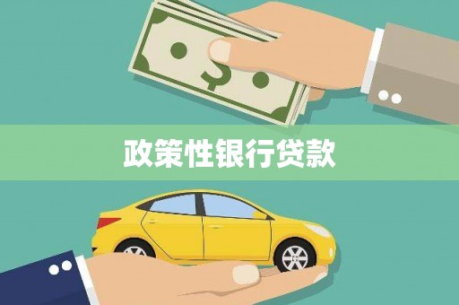 芙蓉政策性银行贷款