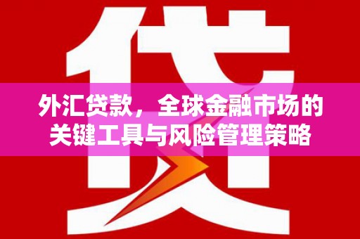 芙蓉外汇贷款，全球金融市场的关键工具与风险管理策略
