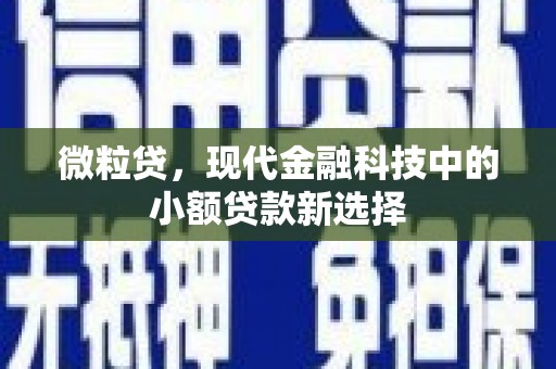 芙蓉微粒贷，现代金融科技中的小额贷款新选择