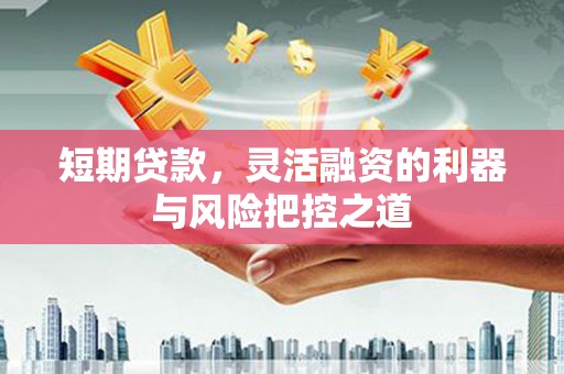 芙蓉短期贷款，灵活融资的利器与风险把控之道