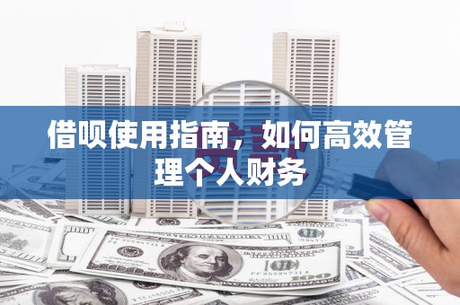 芙蓉借呗使用指南，如何高效管理个人财务