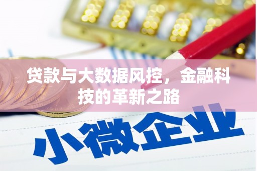 芙蓉贷款与大数据风控，金融科技的革新之路