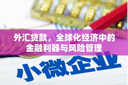 芙蓉外汇贷款，全球化经济中的金融利器与风险管理