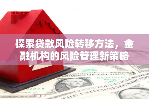 芙蓉探索贷款风险转移方法，金融机构的风险管理新策略