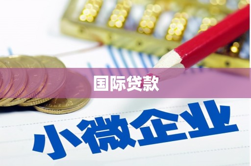 芙蓉国际贷款