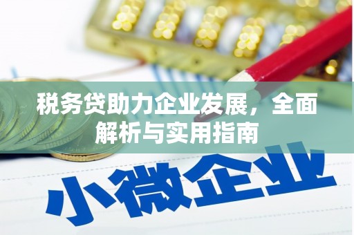 芙蓉税务贷助力企业发展，全面解析与实用指南