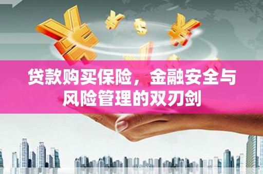 芙蓉贷款购买保险，金融安全与风险管理的双刃剑