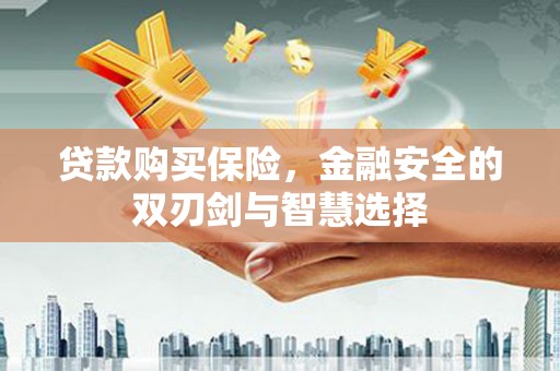 芙蓉贷款购买保险，金融安全的双刃剑与智慧选择