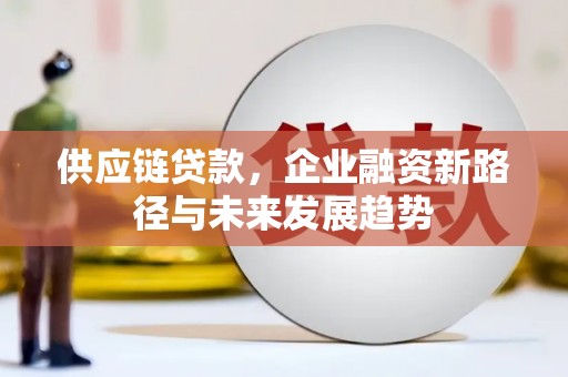芙蓉供应链贷款，企业融资新路径与未来发展趋势