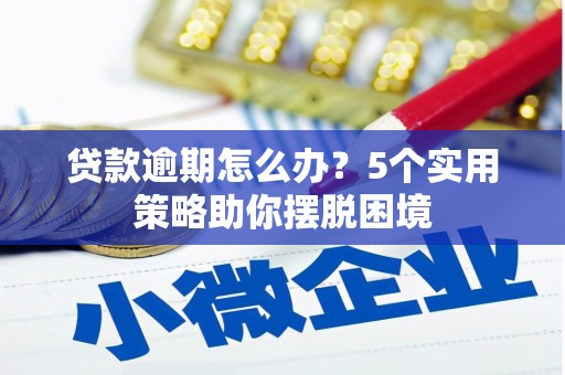 芙蓉贷款逾期怎么办？5个实用策略助你摆脱困境