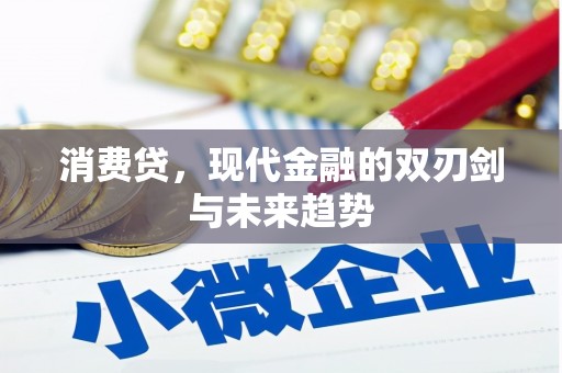 芙蓉消费贷，现代金融的双刃剑与未来趋势