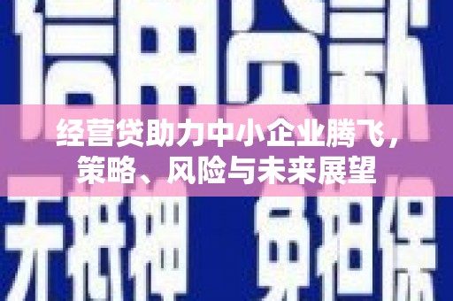芙蓉经营贷助力中小企业腾飞，策略、风险与未来展望