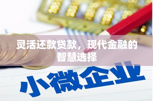 芙蓉灵活还款贷款，现代金融的智慧选择