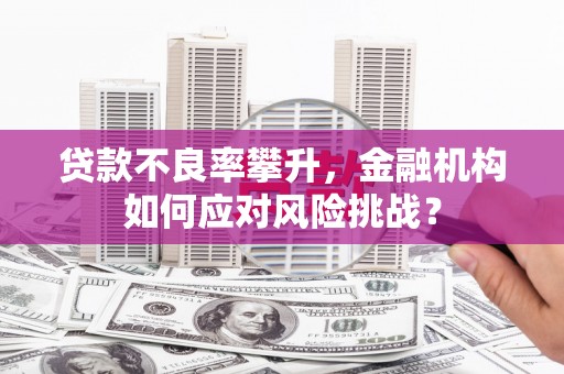 芙蓉贷款不良率攀升，金融机构如何应对风险挑战？